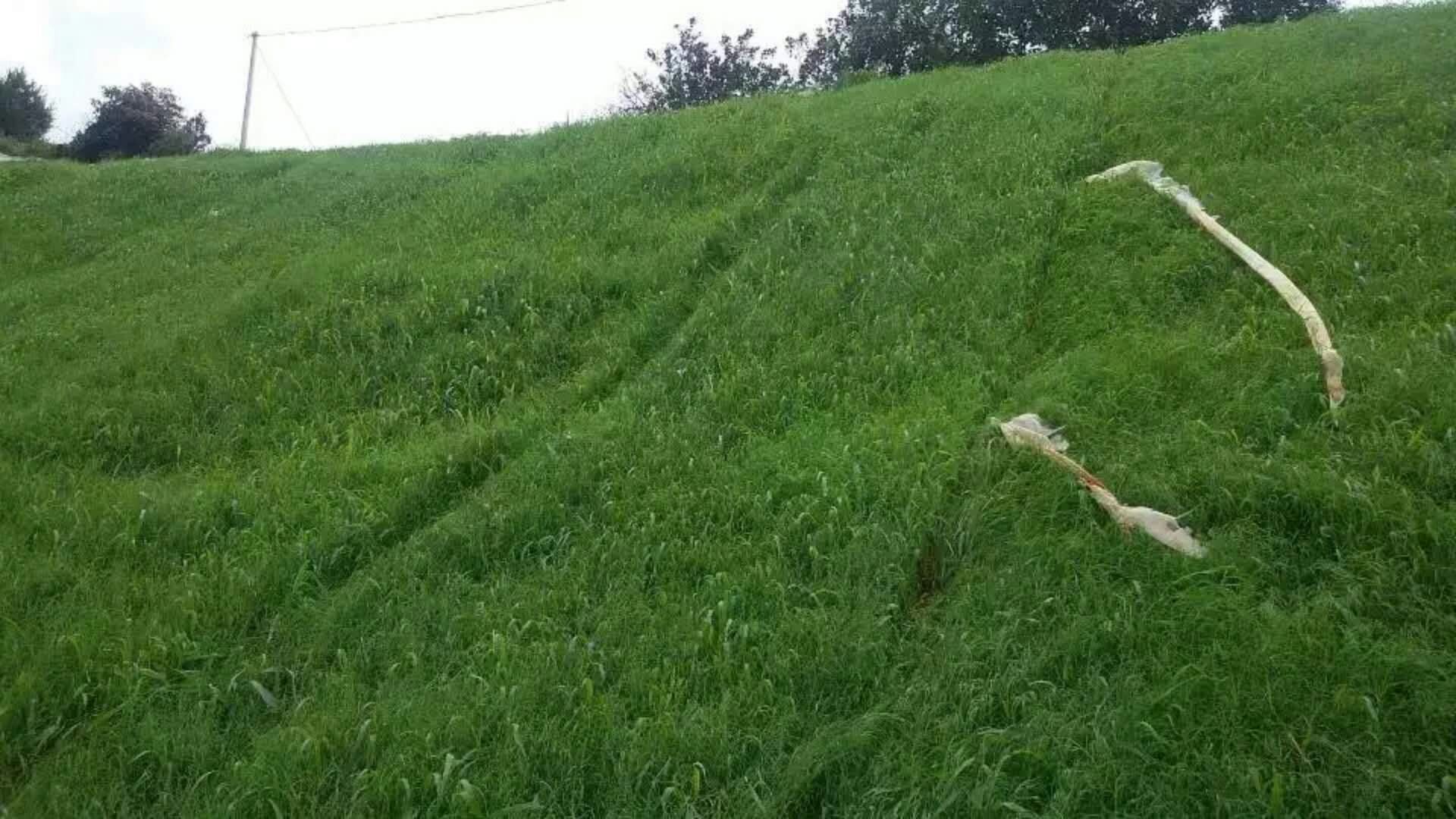 ຣ߅¾G